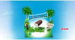 Ülker Cocostar Hindistan Cevizli Bar 25Gr*24 Ad.