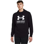 Under Armour 1386047-001 Sweatshirt Erkek