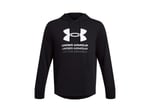 Under Armour 1386047-001 Sweatshirt Erkek