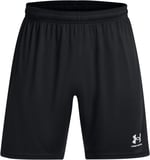 Under Armour Erkek Ua M'S Ch. Örgü Şort (1'li paket)