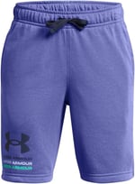 Under Armour UA Boys Rival Terry Short Şort Üniseks Çocuk
