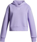 Under Armour Ua Rival Fleece Crop Hoodie Sweatshirt Kız çocuk