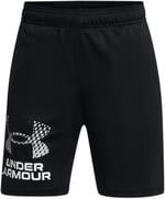 Under Armour UA Tech Logo Shorts Şort Erkek çocuk