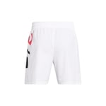 Under Armour UA Zone Woven Short Şort Erkek
