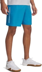 Under Armour Wordmark erkek şortu dokuma şort