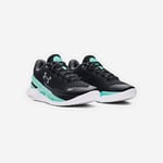 Unisex Curry 2 Low FloTro Basketbol Ayakkabısı