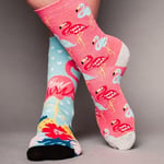 United Oddsocks Kadın Odd Go Flamingo Hediye Paketi - 6 Çorap, Çok renkli, UK 4-8 EUR 37-42 US 6.5-10.5