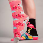 United Oddsocks Kadın Odd Go Flamingo Hediye Paketi - 6 Çorap, Çok renkli, UK 4-8 EUR 37-42 US 6.5-10.5