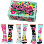 United Oddsocks Kadın Odd Go Flamingo Hediye Paketi - 6 Çorap, Çok renkli, UK 4-8 EUR 37-42 US 6.5-10.5