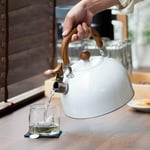 Valkyrie 3L Düdüklü Kettle Su Isıtıcı Çaydanlık Paslanmaz Çelik Yüksek Islıklı Beyaz
