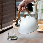 Valkyrie 3L Düdüklü Kettle Su Isıtıcı Çaydanlık Paslanmaz Çelik Yüksek Islıklı Beyaz