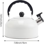 Valkyrie 3L Paslanmaz Çelik Düdüklü Kettle Su Isıtıcısı Çaydanlık Islıklı Demlik