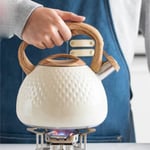 Valkyrie Modern Tasarım Düdüklü Kettle 3L Paslanmaz Çelik Ergonomik Su Isıtıcı Çaydanlık Islıklı