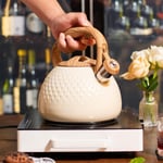 Valkyrie Modern Tasarım Düdüklü Kettle 3L Paslanmaz Çelik Ergonomik Su Isıtıcı Çaydanlık Islıklı