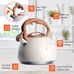 Valkyrie Modern Tasarım Düdüklü Kettle 3L Paslanmaz Çelik Ergonomik Su Isıtıcı Çaydanlık Islıklı