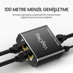 VegGieg 1 Giriş 2 Çıkış RJ45 Gigabit Ethernet Çoklayıcı Splitter Adaptör