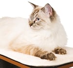 Vesper Cat Tree, High Base, Siyah, 52046