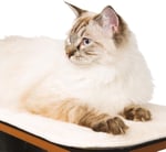 Vesper Cat Tree, High Base, Siyah, 52046