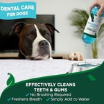 Vet's Best Köpekler için Ağız Bakım Suyu 500 ml - Seçenekler: 1 stück (1er Pack), 100 g (1er Pack)...