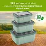 Vienev 3'lü Vip Dikdörtgen Mikrodalga Ve Difrize Uygun Saklama Kabı Seti Yeşil 1x(1750,1050,600 Ml)