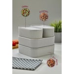 Vienev 4'lü Elastik Bantlı İstiflenebilir Pratik Saklama Kabı Seti 2x 1100 Ml 2x 2600 Ml Gri