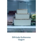Vienev 8'li Çizgili Dikdörtgen Saklama Seti Bej | 2.5l 1.5l 0.80l 0.45l | Mikrodalga Ve Dondurucu Uyumlu