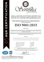 Villa TURQAN YENİ SEZON 1 Lt Erken Hasat Soğuk Sıkım Memecik Natürel Sızma Zeytinyağı | Tek Bahçe (2025/2026)