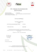 Villa TURQAN YENİ SEZON 1 Lt Erken Hasat Soğuk Sıkım Memecik Natürel Sızma Zeytinyağı | Tek Bahçe (2025/2026)