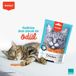 Wanpy Oven Roasted Tavuklu Yumuşak Taneli, 80 g, Kedi Ödülü
