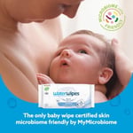 WaterWipes Biyoçözünür Orijinal Bebek Mendilleri,%99,9 Su Bazlı Mendil, Hassas Ciltler İçin Kokusuz ve Hipoalerjenik, 60 Adet (12'li Paket) - Ambalaj Değişebilir