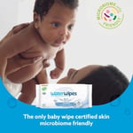 WaterWipes Biyoçözünür Orijinal Bebek Mendilleri,%99,9 Su Bazlı Mendil, Hassas Ciltler İçin Kokusuz ve Hipoalerjenik, 60 Adet (12'li Paket) - Ambalaj Değişebilir