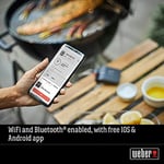 Weber Çift şiş seti (30 cm uzunluğunda), 8 adet, karides, sebze veya et sabitlemek için ideal, ızgara yapılan yiyecekleri kolayca çevirin, bulaşık makinesinde yıkanabilir - gümüş (6320)