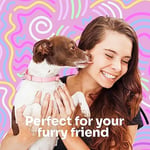 Wet Brush Ultimate Grooming Pet Brush, 2'si 1 arada çift taraflı detangling evcil hayvan fırçası – Ultra yumuşak IntelliFlex kıllar gevşek saç ve kir giderici, evcil hayvan bakım temizleme fırçası,