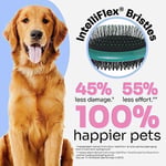 Wet Brush Ultimate Grooming Pet Brush, 2'si 1 arada çift taraflı detangling evcil hayvan fırçası – Ultra yumuşak IntelliFlex kıllar gevşek saç ve kir giderici, evcil hayvan bakım temizleme fırçası,