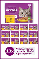 Whiskas Jelly'de 1+ Yetişkin Tavuk Kümes Hayvanı Seçimi, 40 Torba, Yetişkin Islak Kedi Yemi, Megapack (40 x 85 g)
