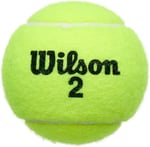 Wilson Champ Extra Duty Tennis Balls