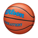 WILSON Evolution İç Mekan Maç Basketbol Topları - 5 Numara, 6 Numara ve 7 Numara
