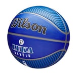 Wilson NBA Player Icon Outdoor Basketball - Size 7-29.5