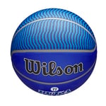 Wilson NBA Player Icon Outdoor Basketball - Size 7-29.5