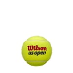 WILSON US Open Tennis Balls
