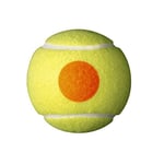 WILSON Youth Starter- Foam & Tennis Balls' - Seçenekler: 36 Toplar, 48 Top, Starter Turuncu, 9-10 Yaş