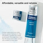 Winsor & Newton 0301088 Cotman metalik sulu boya, stüdyo suluboya, canlı yüksek kaliteli renkler, çok iyi işleme özellikleri, 1/2 kap - sarı altın