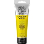 Winsor & Newton Galeria Akrilik Boya, 120ml, Cadmium Yellow Pale Hue 114 - Seçenekler: 6.75 Fl Oz (Pack of 1), 6.76 Fl Oz (Pack of 1)...