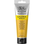 Winsor & Newton Galeria Akrilik Boya, 120ml, Cadmium Yellow Deep Hue 115