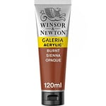 Winsor & Newton Galeria Akrilik Boya, 120Ml, Burnt Sienna Opaque 077