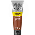 Winsor & Newton Galeria Akrilik Boya, 120Ml, Burnt Sienna Opaque 077