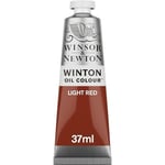 Winsor Newton Winton Yağlı Boya 37ml - N:362 Light