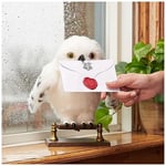Wizarding World İnteraktif Hedwig