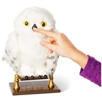 Wizarding World İnteraktif Hedwig