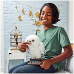 Wizarding World İnteraktif Hedwig